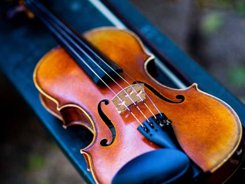 Clases de Violín con el Maestro Cristian Valdés: Armonía y Bienestar a Través de la Música